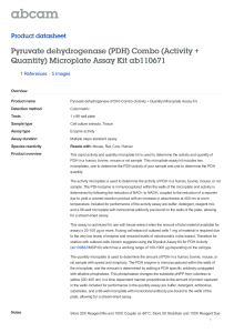 Pyruvate dehydrogenase (PDH) Combo (Activity + Quantity) Microplate Assay Kit ab110671