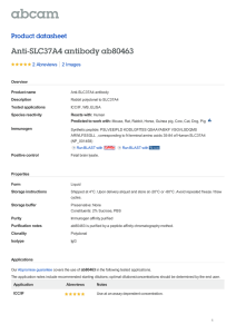 Anti-SLC37A4 antibody ab80463 Product datasheet 2 Abreviews 2 Images