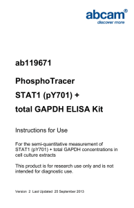 ab119671 PhosphoTracer STAT1 (pY701) + total GAPDH ELISA Kit