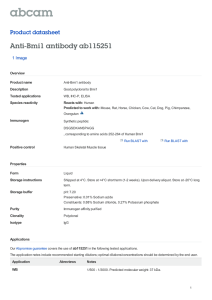 Anti-Bmi1 antibody ab115251 Product datasheet 1 Image