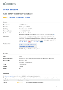 Anti-BMP7 antibody ab56023 Product datasheet 3 Abreviews 5 Images