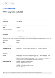 VAV3 peptide ab45613 Product datasheet Overview Product name