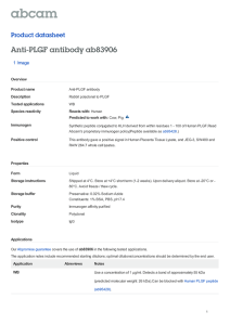 Anti-PLGF antibody ab83906 Product datasheet 1 Image