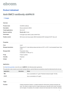 Anti-SMC3 antibody ab89618 Product datasheet 3 Images