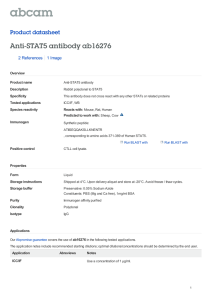 Anti-STAT5 antibody ab16276 Product datasheet 2 References 1 Image