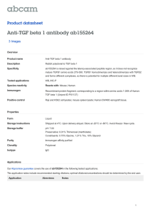 Anti-TGF beta 1 antibody ab155264 Product datasheet 3 Images Overview