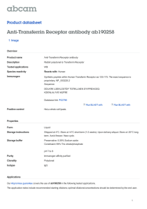 Anti-Transferrin Receptor antibody ab190258 Product datasheet 1 Image Overview