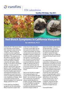 Red Blotch Symptoms in California Vineyards By Judit Monis, Ph. D