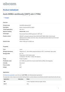 Anti-NEK6 antibody [2H7] ab117986 Product datasheet 7 Images Overview