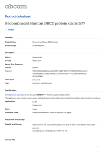 Recombinant Human DBC2 protein ab161577 Product datasheet 1 Image Overview