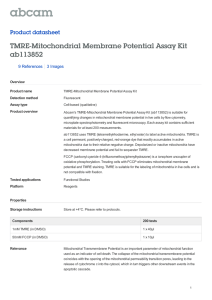 TMRE-Mitochondrial Membrane Potential Assay Kit ab113852