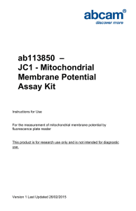 ab113850  – JC1 - Mitochondrial Membrane Potential Assay Kit