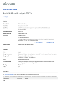 Anti-HAX1 antibody ab81973 Product datasheet 1 Image Overview