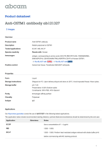 Anti-OSTM1 antibody ab121327 Product datasheet 3 Images Overview