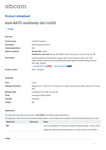 Anti-BAT3 antibody ab116325 Product datasheet 1 Image