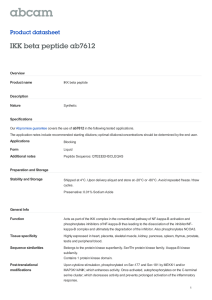 IKK beta peptide ab7612 Product datasheet Overview Product name