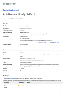 Anti-Ikaros antibody ab77411 Product datasheet 1 Abreviews 1 Image