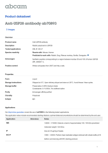 Anti-USP28 antibody ab70893 Product datasheet 3 Images