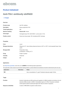 Anti-TIA1 antibody ab89602 Product datasheet 2 Images Overview