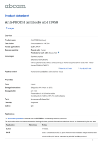 Anti-PRODH antibody ab113958 Product datasheet 3 Images