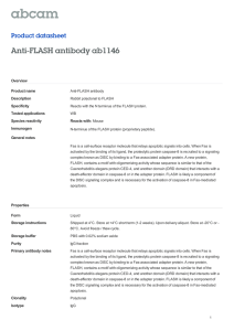 Anti-FLASH antibody ab1146 Product datasheet Overview Product name