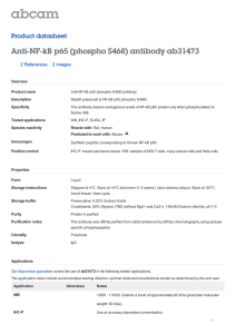 Anti-NF-kB p65 (phospho S468) antibody ab31473 Product datasheet 2 References 2 Images