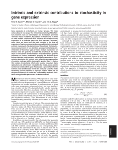 Intrinsic and extrinsic contributions to stochasticity in gene expression Peter S. Swain*