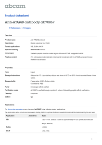 Anti-ATG4B antibody ab70867 Product datasheet 1 References 2 Images
