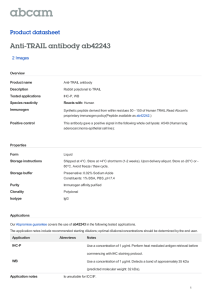 Anti-TRAIL antibody ab42243 Product datasheet 2 Images Overview