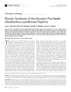 Phoretic Symbionts of the Mountain Pine Beetle Dendroctonus ponderosae entomology &amp; pathology