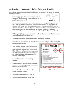 Lab Session 1:  Laboratory Safety Rules and Check In