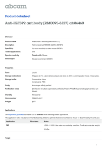 Anti-IGFBP2 antibody [RM0095-8J27] ab86460 Product datasheet Overview Product name