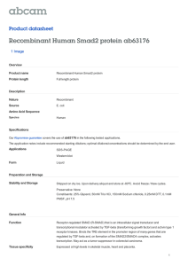 Recombinant Human Smad2 protein ab63176 Product datasheet 1 Image Overview