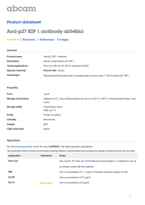 Anti-p27 KIP 1 antibody ab54563 Product datasheet 1 Abreviews 6 Images