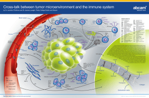 Cross-talk between tumor microenvironment and the immune system