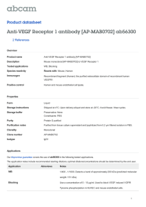 Anti-VEGF Receptor 1 antibody [AP-MAB0702] ab56300 Product datasheet 2 References Overview