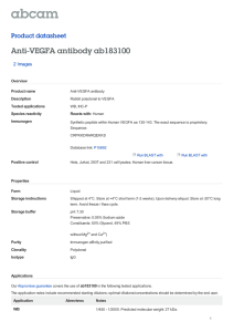 Anti-VEGFA antibody ab183100 Product datasheet 2 Images Overview
