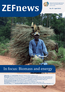 ZEFnews In focus: Biomass and energy No. 29 - April 2014