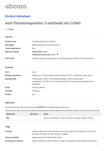 Anti-Thrombospondin 2 antibody ab112543 Product datasheet 1 Image