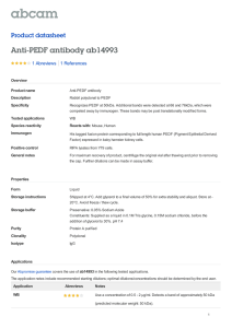 Anti-PEDF antibody ab14993 Product datasheet 1 Abreviews Overview