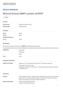Natural Human MMP1 protein ab39297 Product datasheet 1 Image Overview