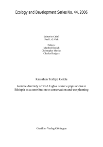 Ecology and Development Series No. 44, 2006  Kassahun Tesfaye Geletu Coffea arabica