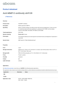 Anti-MMP13 antibody ab9128 Product datasheet 2 References Overview
