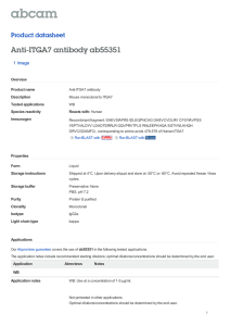 Anti-ITGA7 antibody ab55351 Product datasheet 1 Image Overview