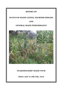 REPORT ON STATUS OF MAIZE LETHAL NECROSIS DISEASE AND