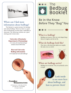 Bedbug Booklet The Be in the Know