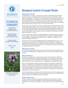 Biological Control of Canada Thistle RESEARCH