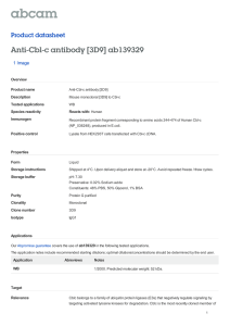 Anti-Cbl-c antibody [3D9] ab139329 Product datasheet 1 Image Overview