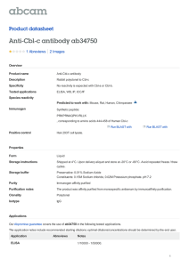 Anti-Cbl-c antibody ab34750 Product datasheet 1 Abreviews 2 Images