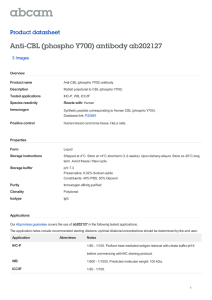 Anti-CBL (phospho Y700) antibody ab202127 Product datasheet 3 Images Overview